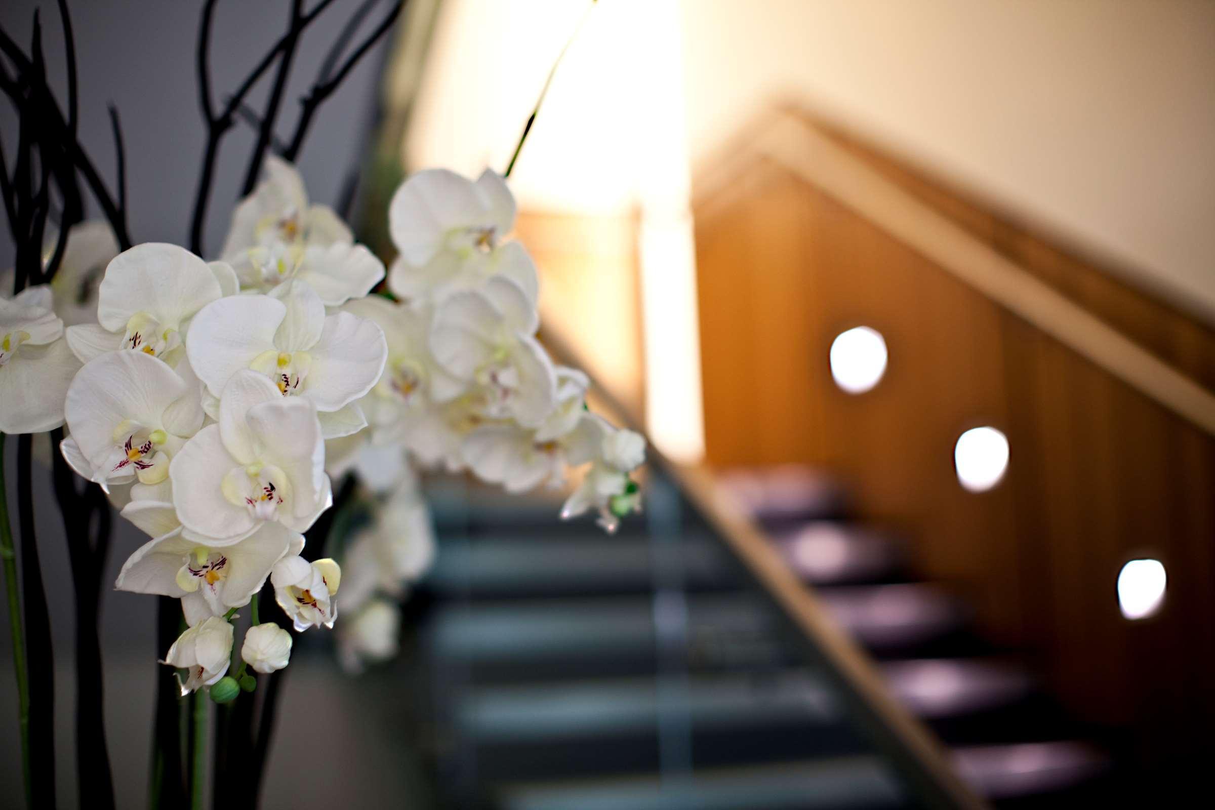 Hilton London Heathrow Airport Terminal 5 Hotel